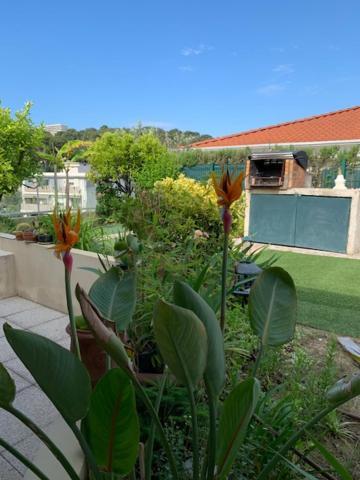 Apartment Jardin D'azur Proche *